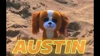 “Austin” Beanie Boo Music Video