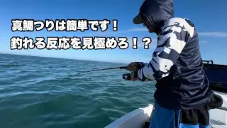 neo390でファミリーフィッシング🎣落とせば釣れる真鯛の反応とは？？【タイラバ】【真鯛】