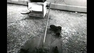 Wolf Vostell -Telemetre ( 1969 Experimental Noise )