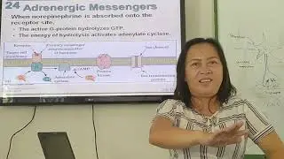 chemical communication part 2