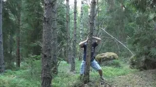 iBlogg.nu st&auml;dar upp i skogen