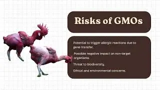 Genetically Modified Organism (STS)