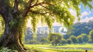 Gabriel Light - Sunshine (2025 Official First single)