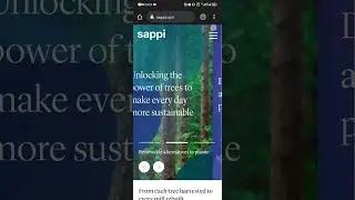How to apply for a job at Sappi entry level.