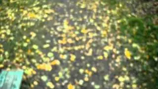 MOV05813
