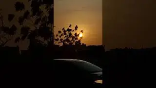 sunset 🌇 #sunset #cooking #easyrecipe #automobile #nature #flowers #garden #sunrise