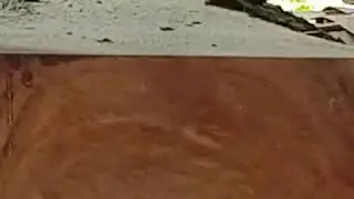 Slicing the Huge Monkey Pod Log to Single Solid Slabs