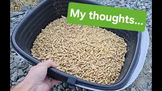 My thoughts on the Arm & Hammer Sifting Litter Box