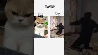 #redmatch2 #cat #duet #twitch #xp0myt #memes #подпишись #cs #тренды #music