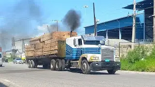 Container haulage in Jamaican ||truckers in Action || 🎬