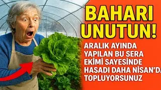 BAHARI UNUTUN! Aralık ayında yapılan bu sera ekimi sayesinde hasadı daha Nisan&rsquo;da topluyorsunuz.