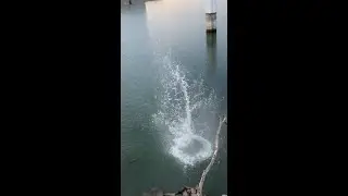 Throwing Rocks in Water | Part 10