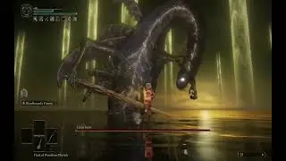 Elden Ring - Radagon/Elden Beast [Level 1]