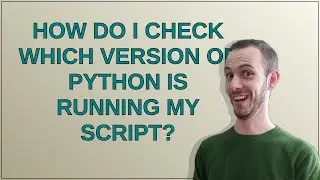 How do I check which version of Python is running my script?