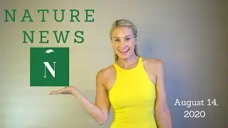 Nature News- Science, Climate, & Environmental Policy News-  August 14 2020