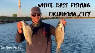 Catching White Bass in Oklahoma City, Oklahoma Jigging Spoon