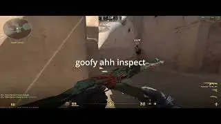 CS clips i randomly saved