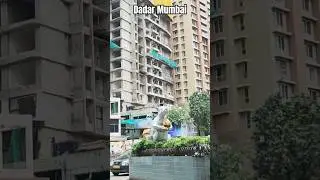 Dadar Mumbai#dadae#mumbai#kabuter#india