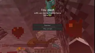 Trippster = Hackerman