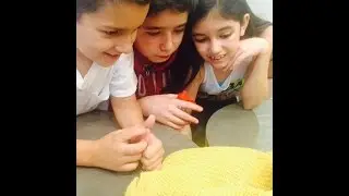 Twitcam - Adamaris, Christopher & Sebastian