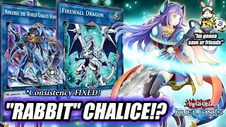WORLD CHALICE ft. RESCUE RABBIT! The BEST WAY to PLAY this deck in 2025? [Duel Links]