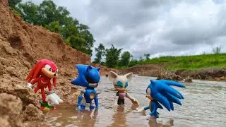 Hunting Sonic The Hedgehog:Sonic/Knuckles/Silver/Shadow/Metal Sonic/Tails/Amy Rose/Egg Man/Rouge