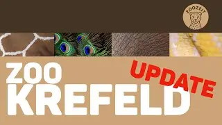 ZOO Krefeld  • Update • Neuigkeiten aus dem Tropenhaus und ein erster Eindruck vom Menschenaffenwald