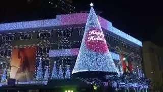 WS2811 12mm RGB Pixel Christmas Led Light String