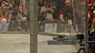 H. O. R. D. #9 - ROBOT FIGHTING! 2024