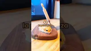 Vita da animali 🐹 EP. 116