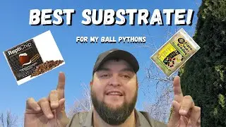 Humidity Issues & the Best Substrate for your Ball Pythons!