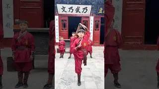 Real kungfu skills show👍 #skills #cool #amazing #kungfu