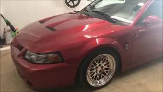 THIS IS MY LOUD EXHAUST SET UP for the 2003 cobra