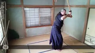 daitō tenshin kaeshi giri tai sabaki 1&2 (reverse, counter sword cut) - Extended version.
