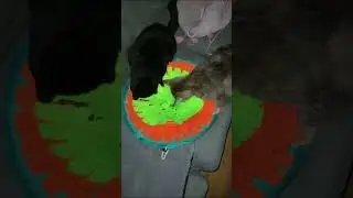 Snuffle mat
