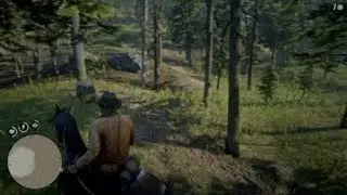 RDR2 when your looking for a perfect elk hide, game says NO