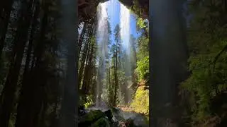 Gorgeous Floating Waterfall in the Pacific Northwest!!