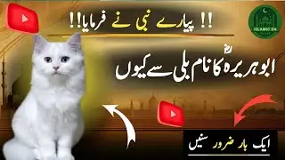 Islam Mein Billi Ka Maqam | Ek Billi Aur Anjaam