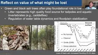 Managing Emerald Ash Borer