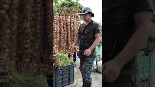 Buscando comida #cuba #caibari&eacute;n #comida #food #cooking #ferias #vidareal #cubareal #cocina