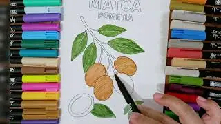 Calming Art Session: Coloring Matoa Fruit 🎨✨ #matoa #fruit #satisfying 