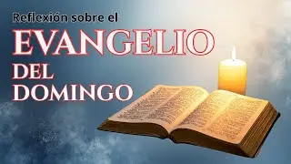 Evangelio de Hoy💥 Domingo 25 Ene 2026 | REFLEXIÓN |Semana III del TO