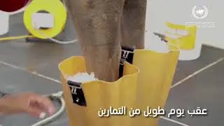 قصص خلف الكواليس
