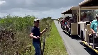 Wild Florida: Man fights citation after capturing python in Everglades
