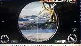 Deer Hunter 2017 Adventure Region 10 Canada Играть Hunt Охота сезон 23 Убейте 4 Белых Медведей 