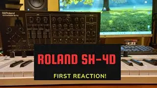 Roland SH-4d | First Reaction