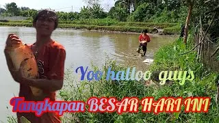 TANGKAPAN BESAR HARI INI GUYSS IKAN MAS DAN IKAN KOII 