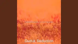 Successful Music for Deep Peace