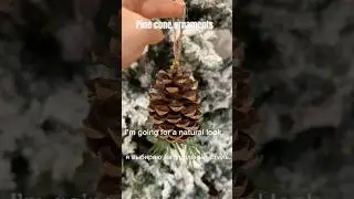 Шишки для елки Pine cones for Christmas ornaments DIY