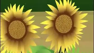 Water and Air Pollination